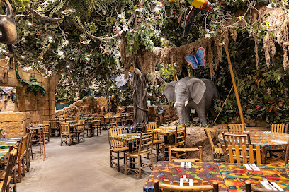Rainforest Cafe