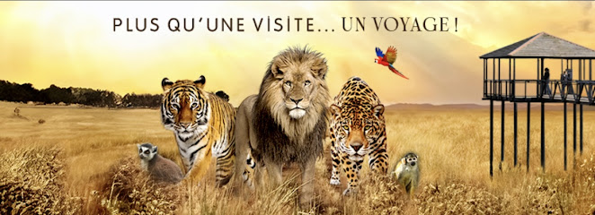 Feline Park