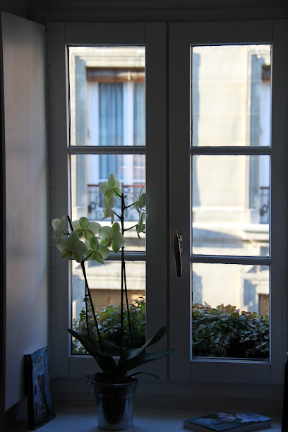 Les Toits de Paris