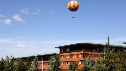 Disney Sequoia Lodge