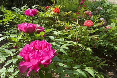 Roches and Pivoines Garden